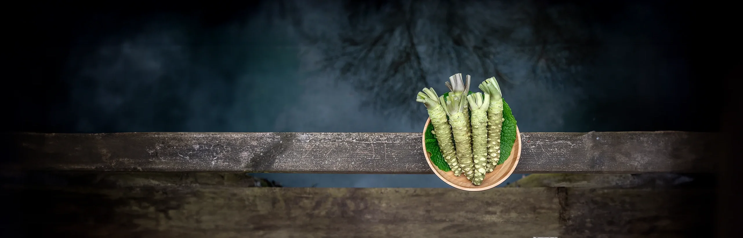 Welcome to Our Store