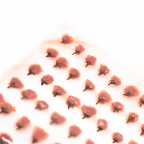 Cherry Blossoms in Syrup -100 flowers - Image 3