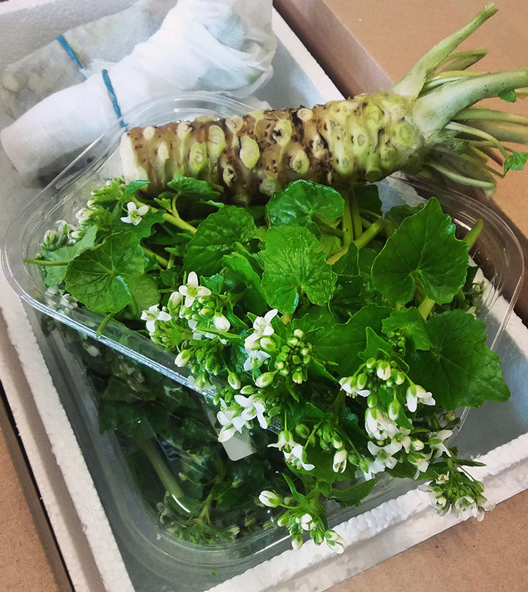 Wasabi Flowers  - 50g - Image 3